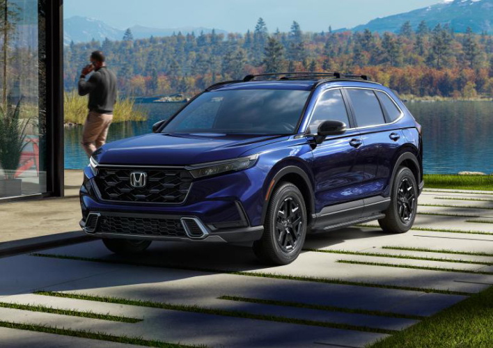 Honda CR-V in the Forest